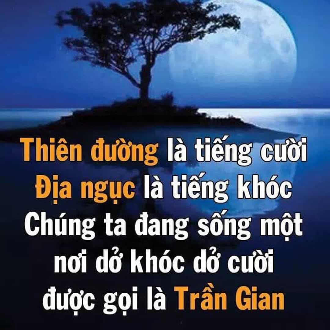 Trong cuộc sống đừng chờ đợi sự may mắn