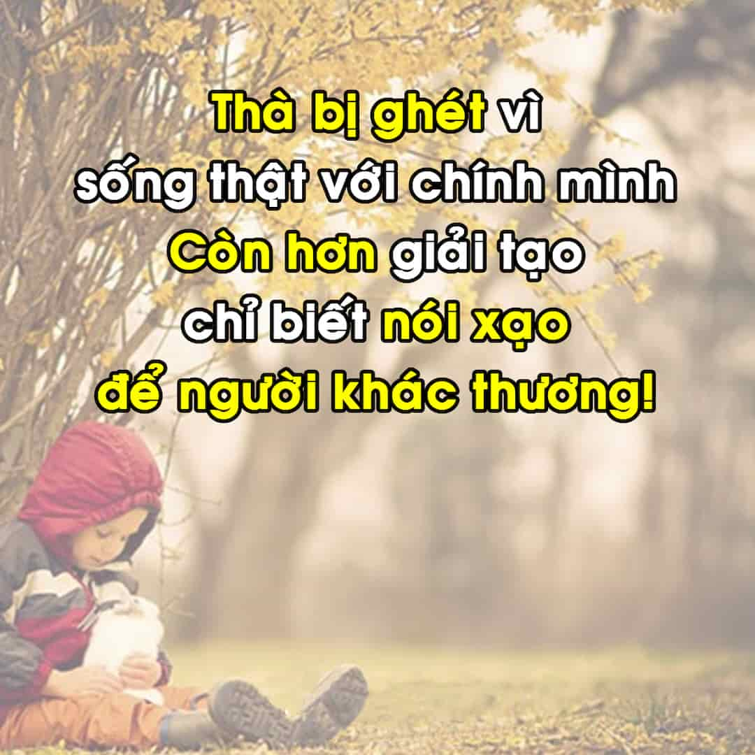 Những dòng quotes cuộc sống hay và ý nghĩa nhất