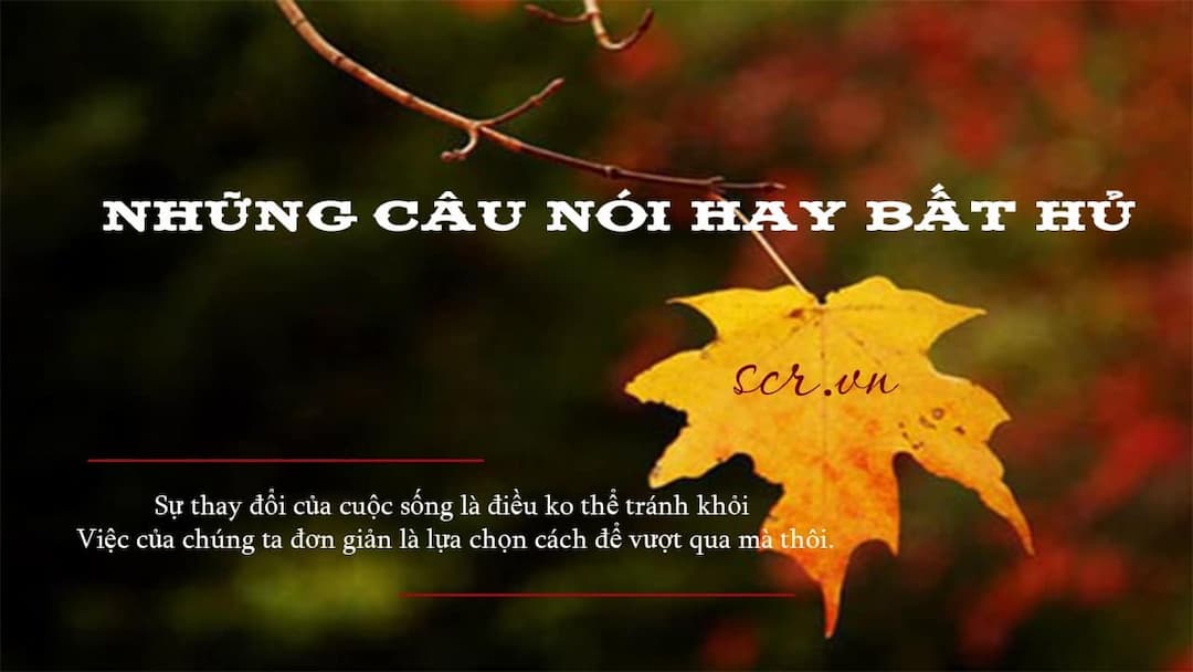 Cuộc sống là sự vận động