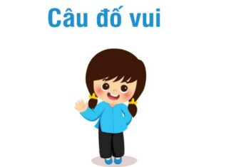 Các câu đố vui vừa giải trí lại rèn luyện trí não cực tốt Đố vui với nội dung được hình tượng hóa cực thú vị