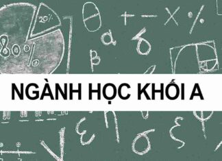 Khối A gồm những ngành nào và những công việc liên quan Khối a gồm những ngành mang đến cơ hội việc làm cao cho sinh viên