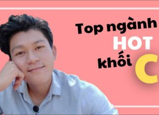 Khối C gồm những ngành nào và cơ hội việc làm ra sao? Khối C gồm những ngành nào?