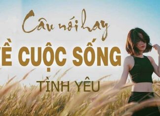 Status những câu nói hay về cuộc sống nổi tiếng và ngắn gọn Status những câu nói hay về cuộc sống