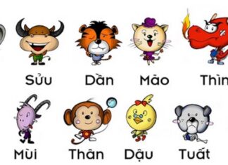 Thứ tự 12 con giáp bí mật phong thủy đằng sau các linh vật 12 con giáp hay còn được gọi là thập nhị can