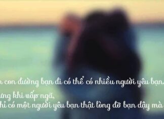 Những câu nói hay về tình yêu và cuộc sống cho bạn Tình yêu là lý tưởng