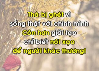 Quotes Cuộc Sống – Những Dòng Châm Ngôn Cuộc Sống Hay Những dòng quotes cuộc sống hay và ý nghĩa nhất