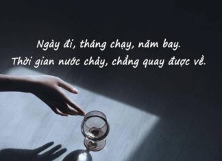 Câu nói hay trong cuộc sống giúp tâm trạng tốt hơn Những câu nói hay trong cuộc sống hôn nhân vợ chồng