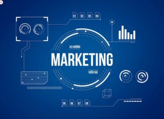 Cơ hội nghề nghiệp cho khối D có rộng mở hay không? TOP ngành nghề triển vọng trong tương lai