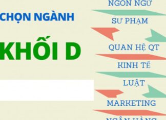 Khối D học ngành nào? Những ngành hot nhất cho khối D Khối D gồm những môn nào?