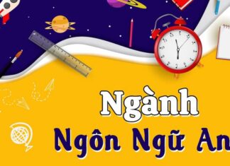 Ngành ngôn ngữ học: Học gì, học ở đâu và cơ hội nghề nghiệp Ngôn ngữ học là gì?