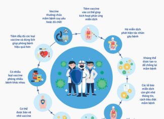 Tìm hiểu cơ chế sản xuất Vaccine Covid-19 như thế nào? Cách thứ hai là sử dụng vật liệu di truyền là mRNA