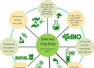 Học Môn Sinh Học: Cách Để Nâng Cao Hiểu Biết Của Bạn Các quy luật của thực vật và động vật