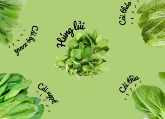 Vai trò của rau xanh đối với sức khỏe của chúng ta là gì? Vai trò của rau xanh đối với dinh dưỡng