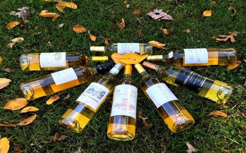 Pháp là đất nước sản xuất rượu vang nổi tiếng hàng đầu trên thế giới
